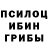 Псилоцибиновые грибы GOLDEN TEACHER Vadik Maksakov