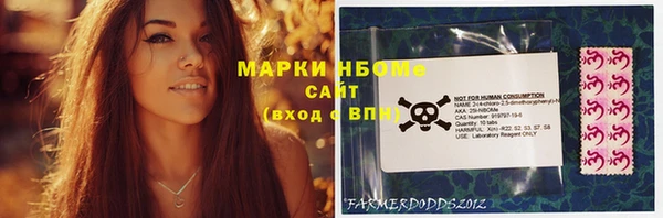 гидра Верхний Тагил