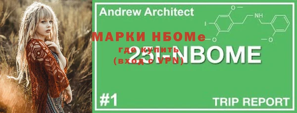гидра Верхний Тагил