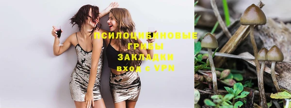 тгк Волоколамск