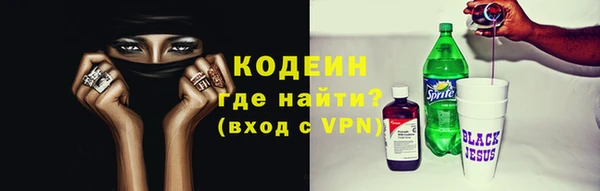 гидра Верхний Тагил