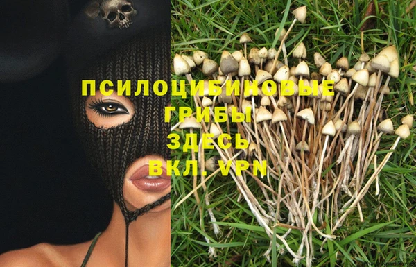 гидра Верхний Тагил
