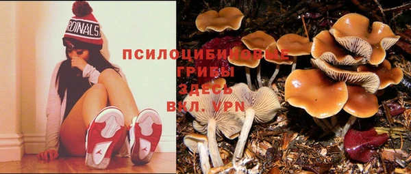 марки nbome Верея