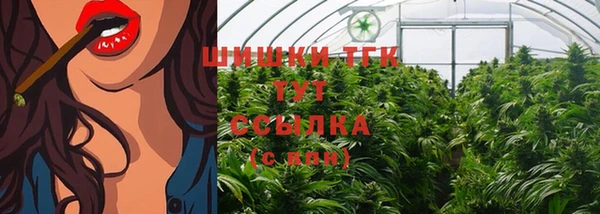 гидра Верхний Тагил