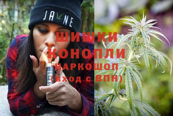 гидра Верхний Тагил