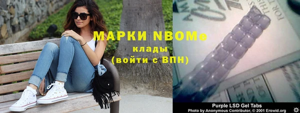 крисы Богородицк