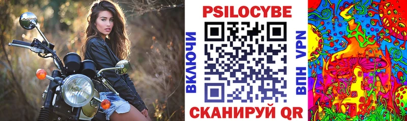 как найти   Зеленогорск  kraken tor  Галлюциногенные грибы MAGIC MUSHROOMS 